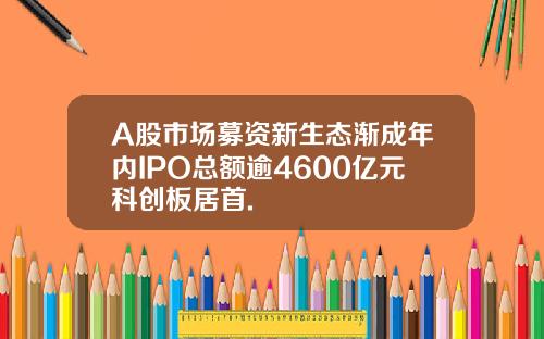 A股市场募资新生态渐成年内IPO总额逾4600亿元科创板居首.