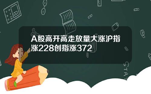 A股高开高走放量大涨沪指涨228创指涨372