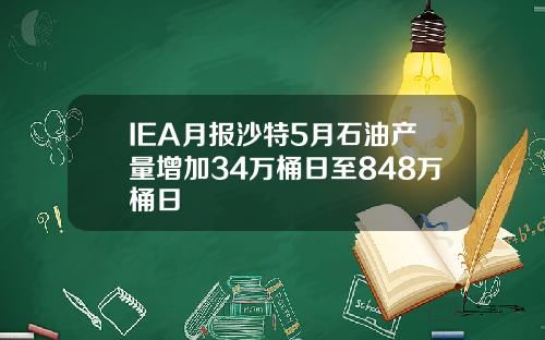 IEA月报沙特5月石油产量增加34万桶日至848万桶日