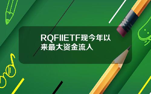 RQFIIETF现今年以来最大资金流入