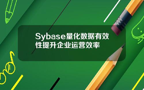 Sybase量化数据有效性提升企业运营效率