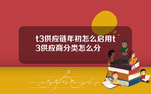 t3供应链年初怎么启用t3供应商分类怎么分