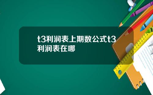 t3利润表上期数公式t3利润表在哪