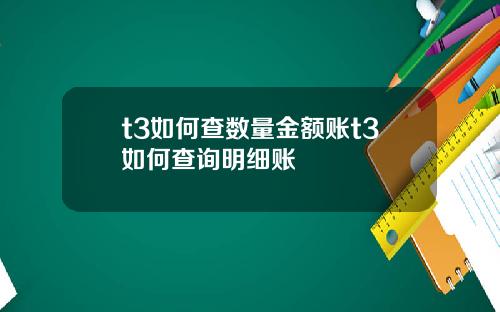 t3如何查数量金额账t3如何查询明细账