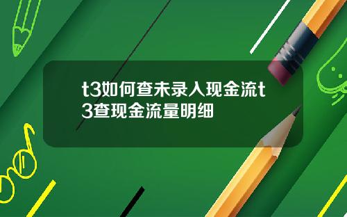 t3如何查未录入现金流t3查现金流量明细