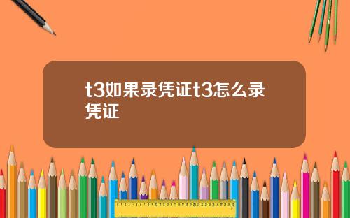 t3如果录凭证t3怎么录凭证