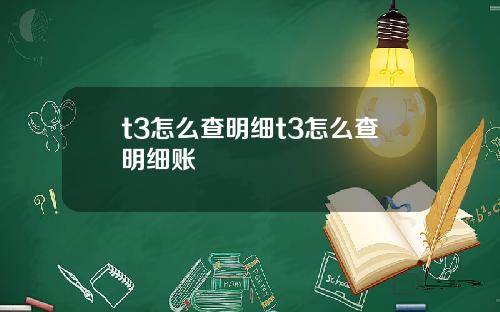 t3怎么查明细t3怎么查明细账