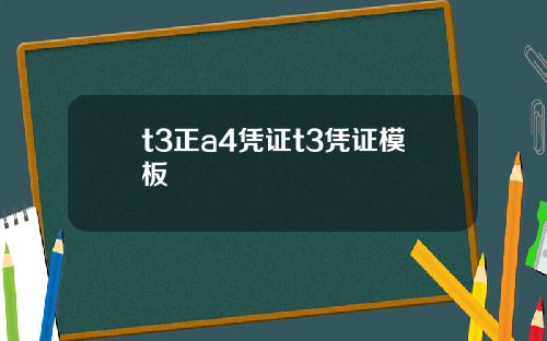 t3正a4凭证t3凭证模板