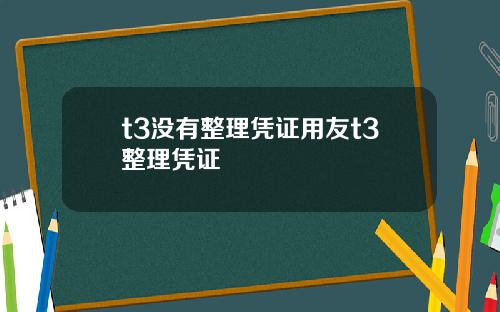 t3没有整理凭证用友t3整理凭证