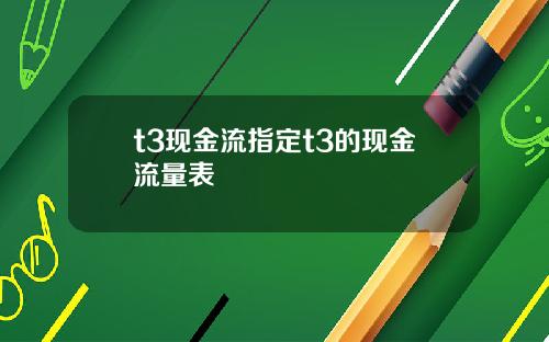 t3现金流指定t3的现金流量表