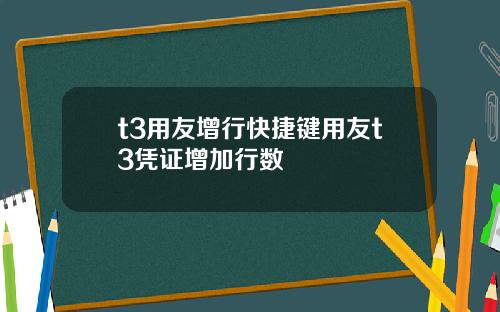 t3用友增行快捷键用友t3凭证增加行数