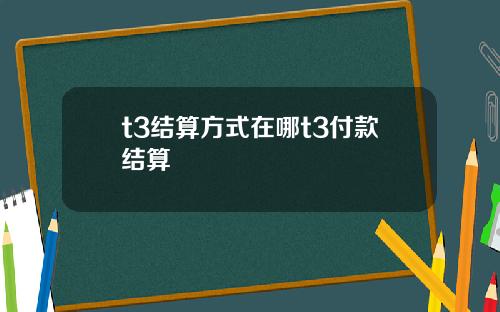 t3结算方式在哪t3付款结算