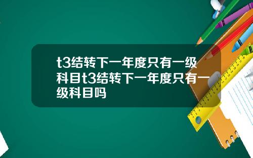 t3结转下一年度只有一级科目t3结转下一年度只有一级科目吗