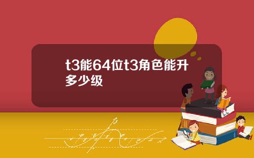 t3能64位t3角色能升多少级