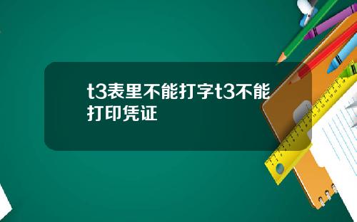 t3表里不能打字t3不能打印凭证