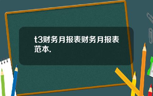 t3财务月报表财务月报表范本.