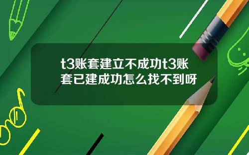 t3账套建立不成功t3账套已建成功怎么找不到呀