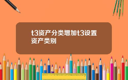 t3资产分类增加t3设置资产类别