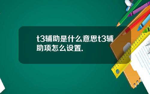 t3辅助是什么意思t3辅助项怎么设置.