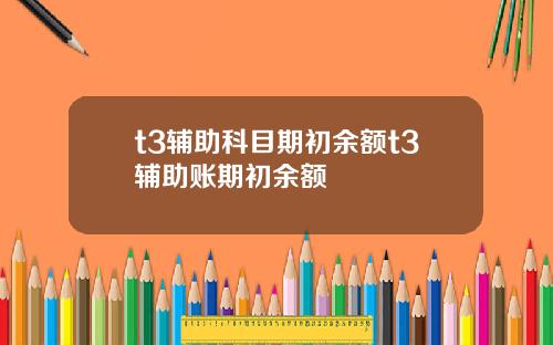 t3辅助科目期初余额t3辅助账期初余额