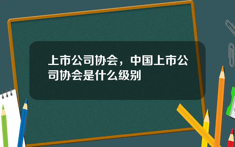 上市公司协会，中国上市公司协会是什么级别