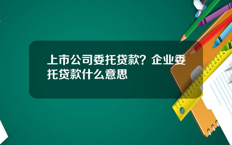 上市公司委托贷款？企业委托贷款什么意思