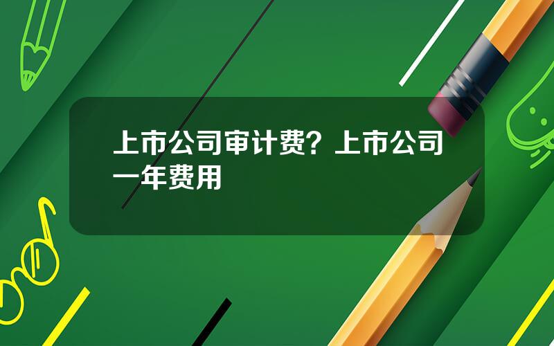 上市公司审计费？上市公司一年费用