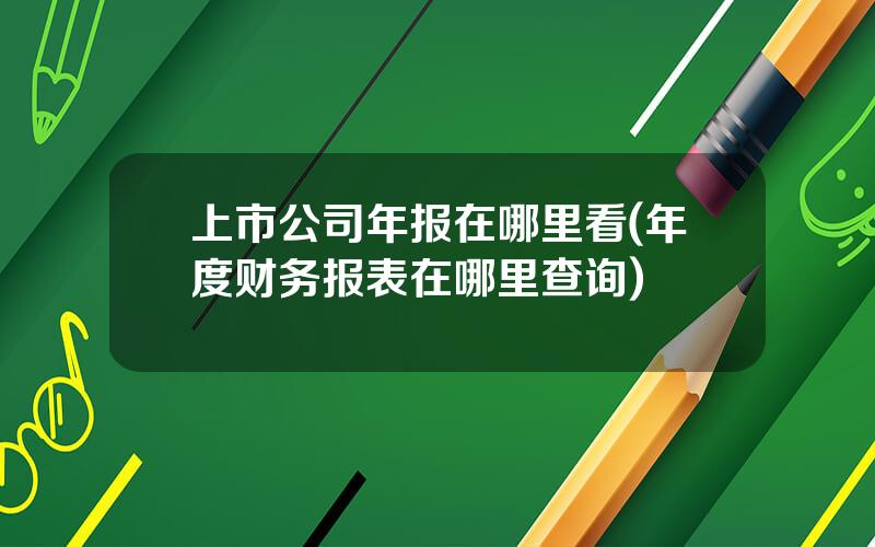 上市公司年报在哪里看(年度财务报表在哪里查询)