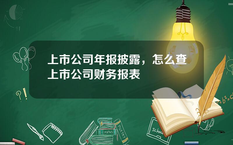 上市公司年报披露，怎么查上市公司财务报表