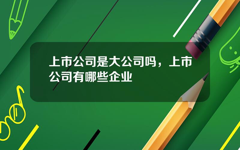 上市公司是大公司吗，上市公司有哪些企业