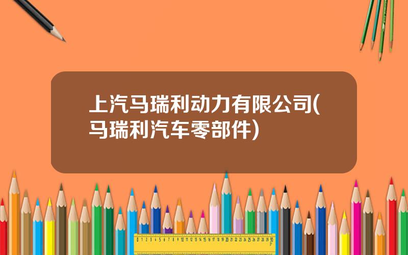 上汽马瑞利动力有限公司(马瑞利汽车零部件)