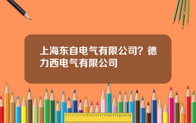 上海东自电气有限公司？德力西电气有限公司