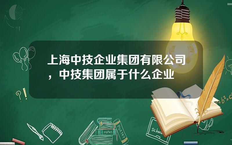 上海中技企业集团有限公司，中技集团属于什么企业