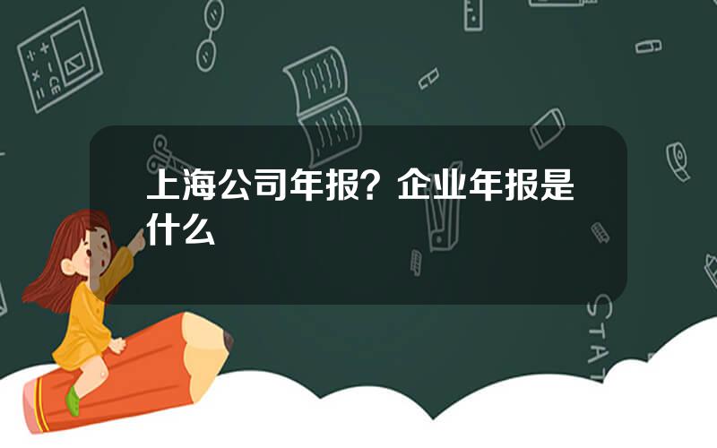 上海公司年报？企业年报是什么