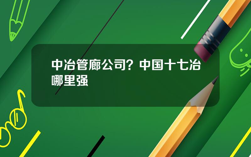 中冶管廊公司？中国十七冶哪里强