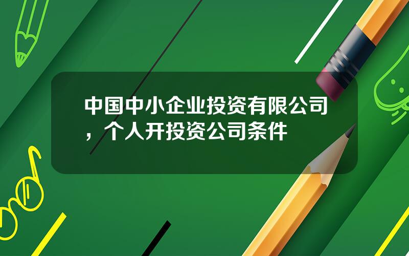 中国中小企业投资有限公司，个人开投资公司条件