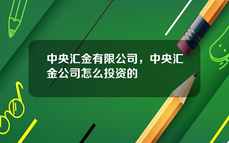 中央汇金有限公司，中央汇金公司怎么投资的