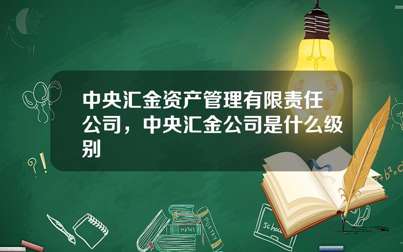 中央汇金资产管理有限责任公司，中央汇金公司是什么级别