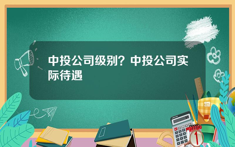 中投公司级别？中投公司实际待遇