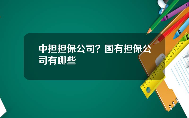 中担担保公司？国有担保公司有哪些