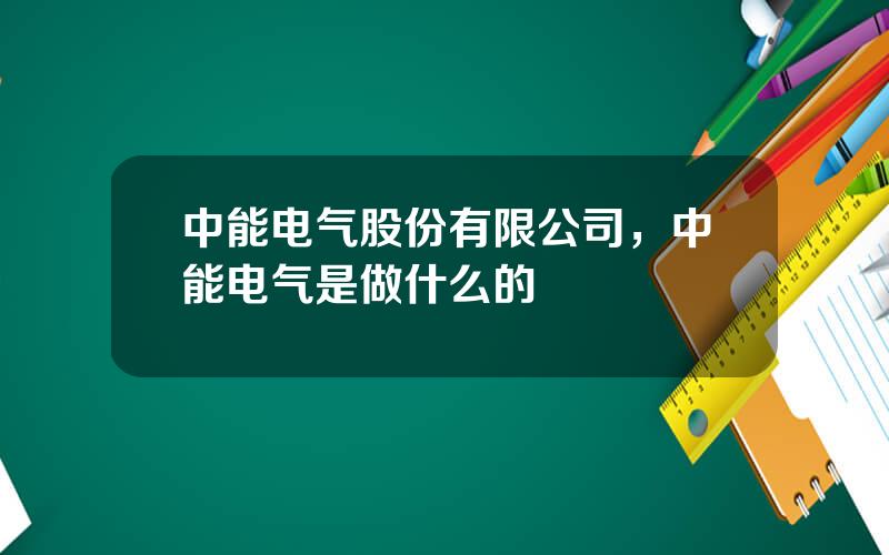 中能电气股份有限公司，中能电气是做什么的