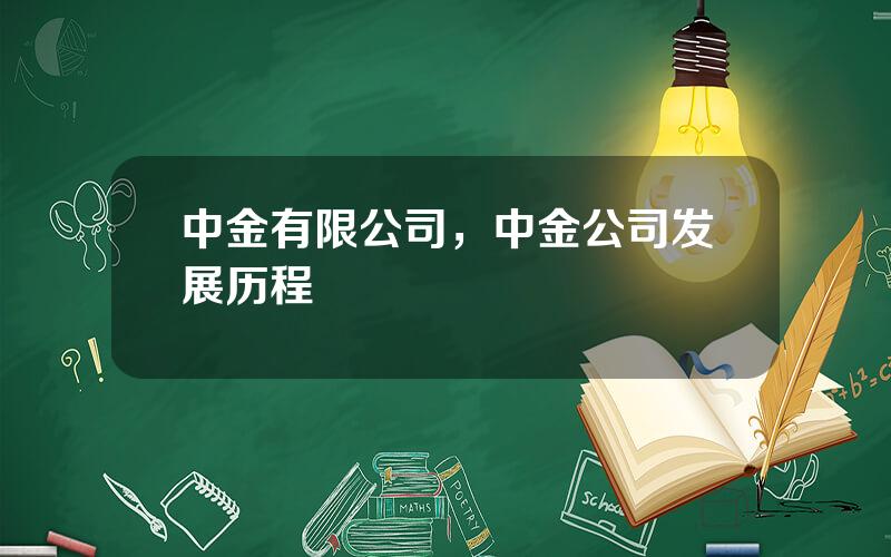 中金有限公司，中金公司发展历程