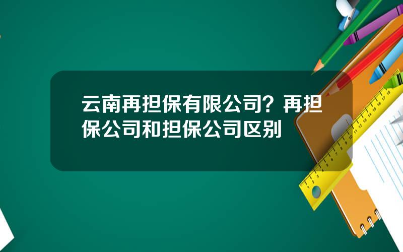 云南再担保有限公司？再担保公司和担保公司区别