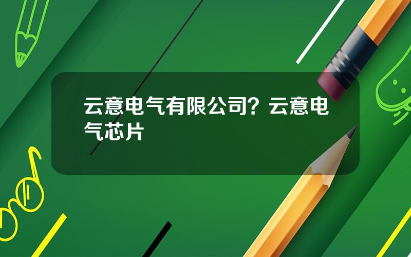 云意电气有限公司？云意电气芯片