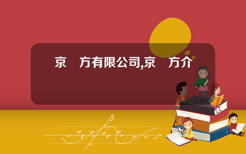 京東方有限公司,京東方介紹