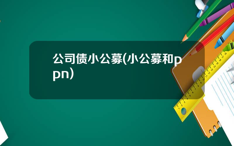 公司债小公募(小公募和ppn)