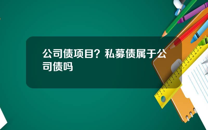 公司债项目？私募债属于公司债吗