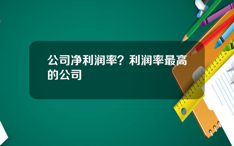 公司净利润率？利润率最高的公司