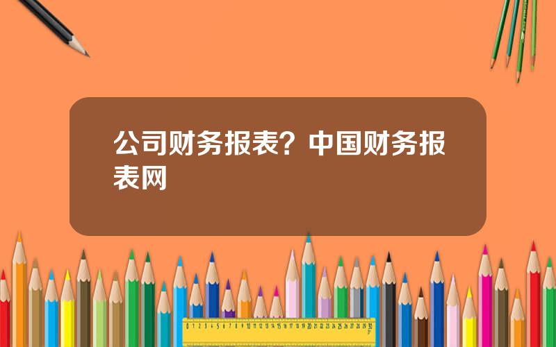 公司财务报表？中国财务报表网