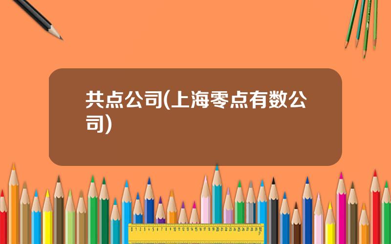 共点公司(上海零点有数公司)